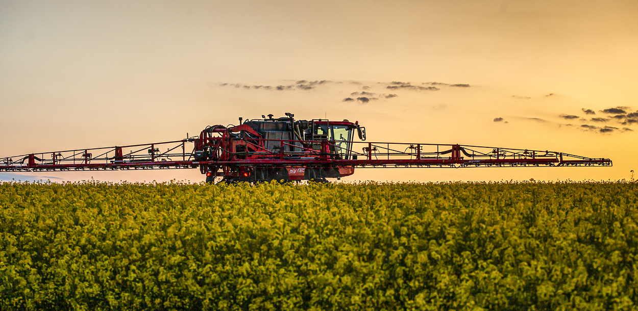The Condor Clearance in the field.