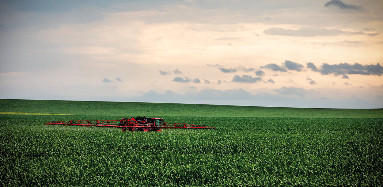The Condor Clearance in the field.