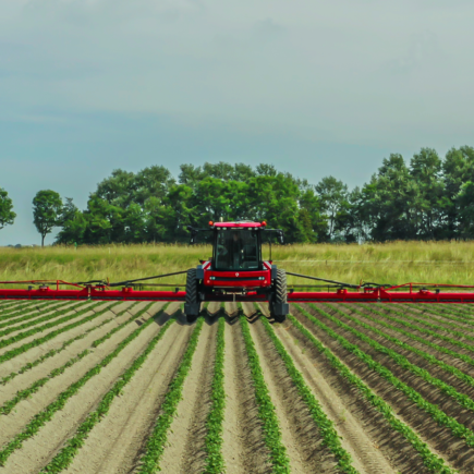 The Agrifac Condor WideTrack spraying a field of potatoes.