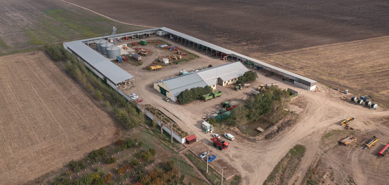 Top view of Forest and Biomass Romania.