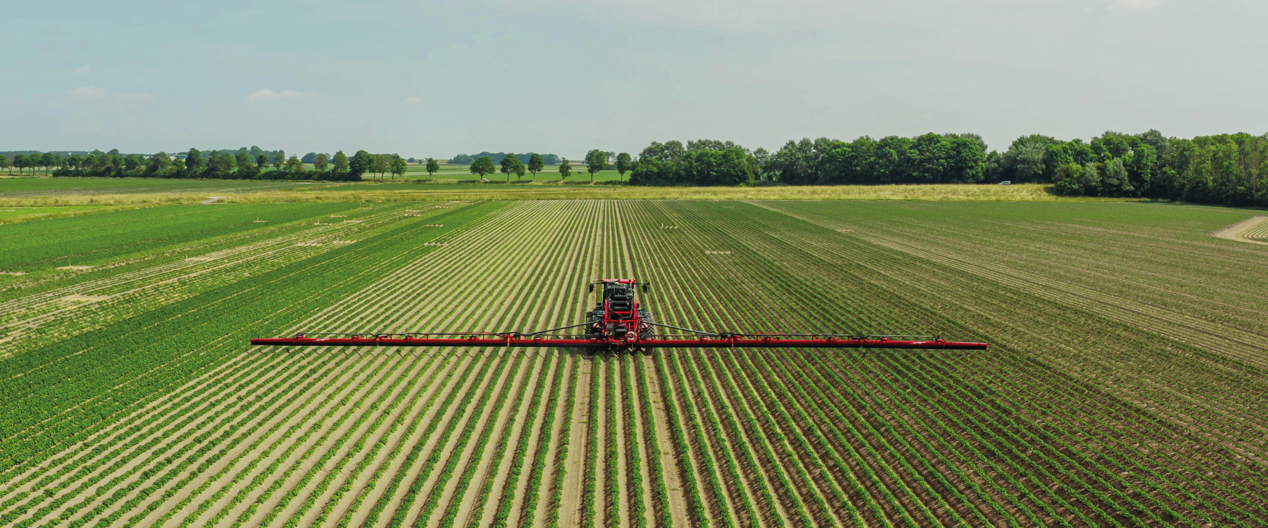 Agrifac WideTrack in a potato field in the Netherlands.