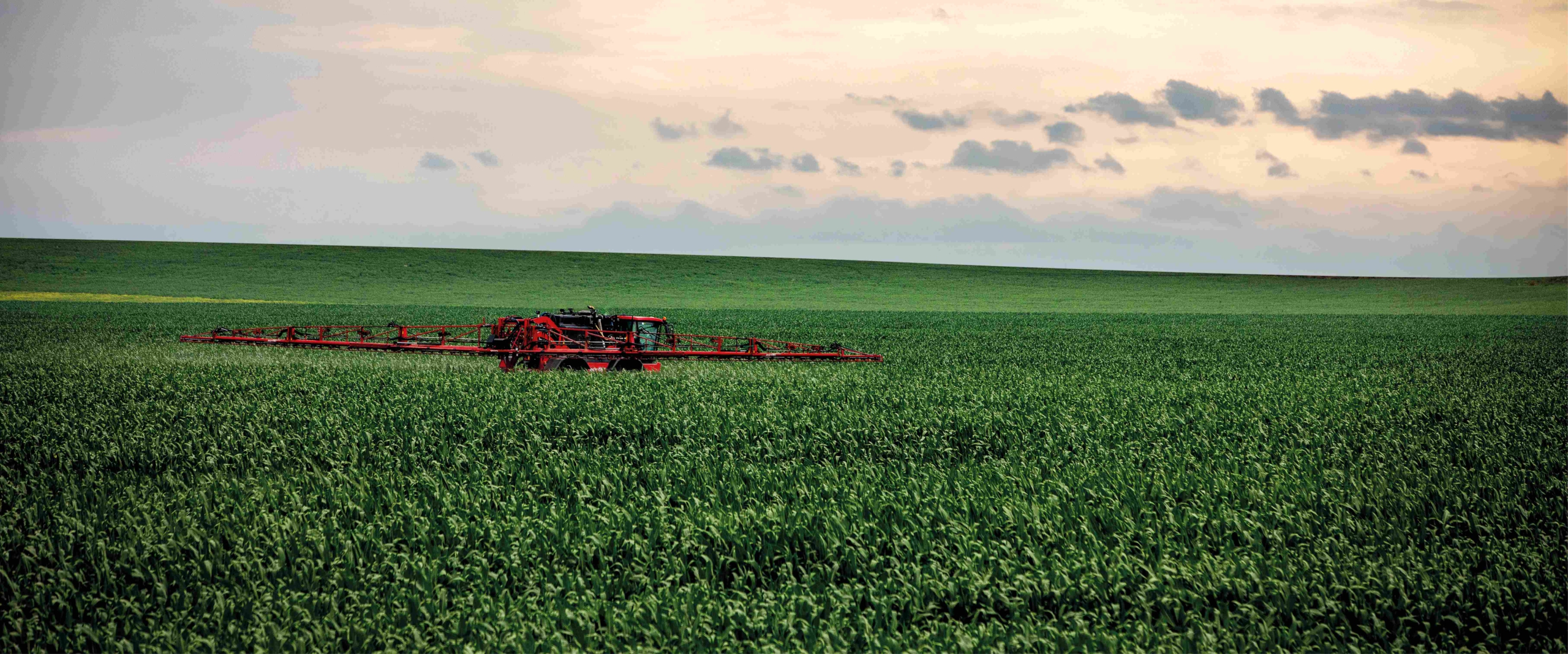 A Condor Clearance sprays crops in a lush green field, showcasing agricultural activity and crop management.